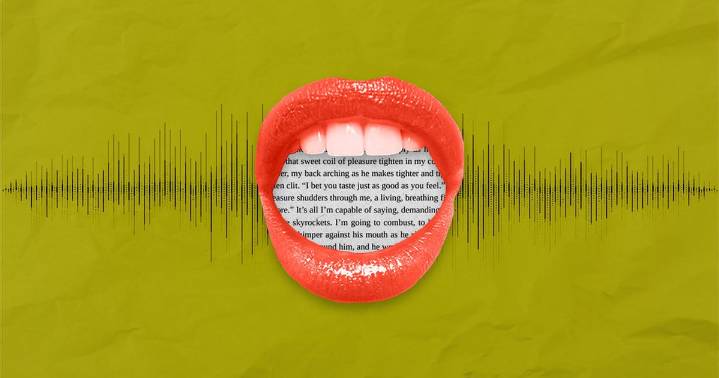 The Voice Behind Audio Erotica: Rina From Quinn Interview