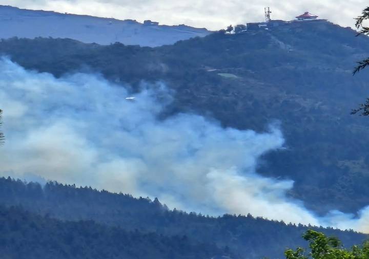 Bariloche: preocupación ante incendios forestales en la ladera norte del Cerro Otto que podrían ser intencionales