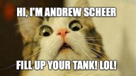 Andrew Scheer Sends Everyone in Canada Some Stupid Cat Meme