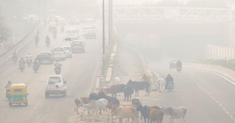 Delhi air remains very poor despite slight improvement, GRAP 3 still on hold