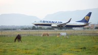 Apuntan con un láser a la cabina de un avión de Ryanair en plena maniobra de aterrizaje en el aeropuerto de Palma