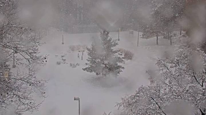 Blizzard moves into Michigan. Webcams show snow over UP