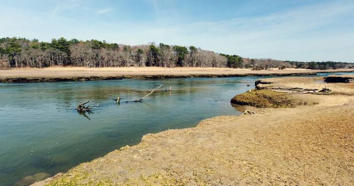 Scorton Creek Shellfish Beds Will Be Open This Season