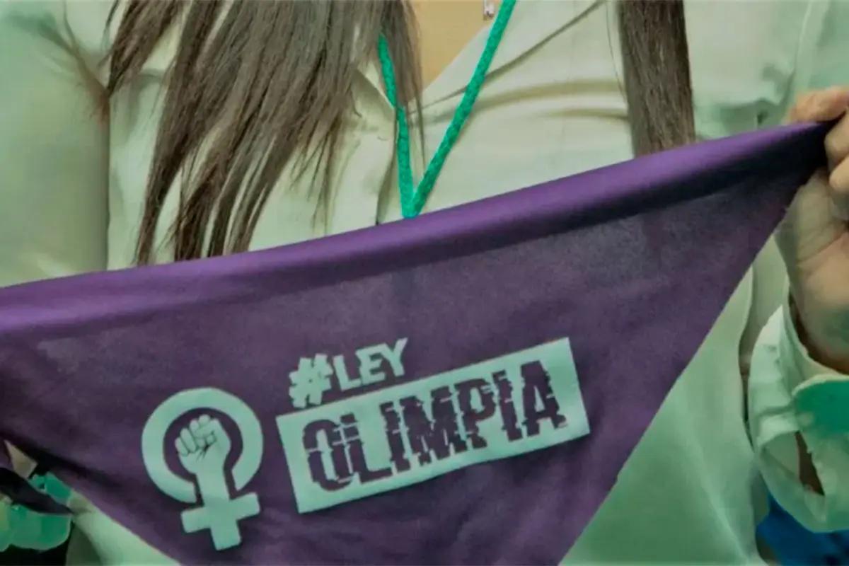 El Senado discutirá la adhesión a la Ley Olimpia y un programa provincial de prevención de violencia digital