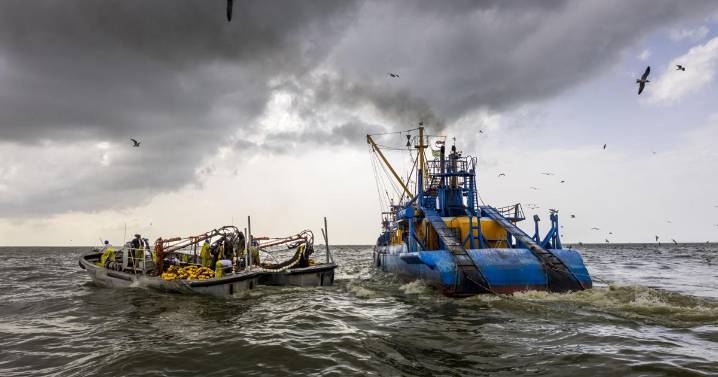 A new showdown emerges over Louisiana's controversial pogy boats. Will restrictions be eased?
