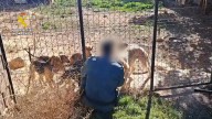 Investigado por un delito de maltrato animal en una perrera particular en el Somontano