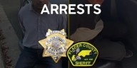 3 suspects arrested in organized theft criminal network