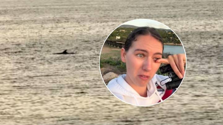 Una joven rompe a llorar al ver delfines por primera vez en Mallorca