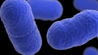 Worsening listeria outbreak tied to pasta products kills 6, hospitalizes 25