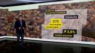 La Ley de la Vivienda fracasa en su primer año en Cataluña: el precio sigue subiendo un 3,8%