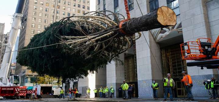 La Navidad llegó a Nueva York con el Árbol más icónico en el Rockefeller Center