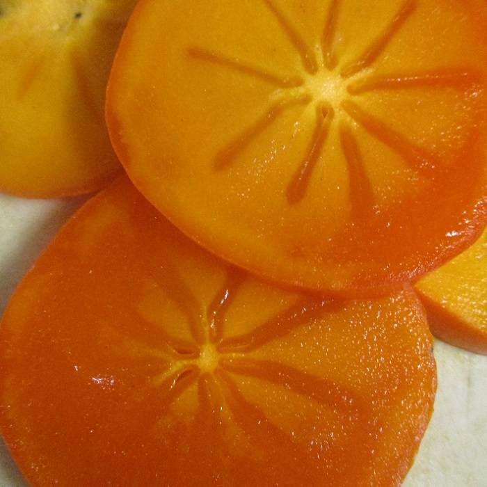 Trees May Benefit From Winterization