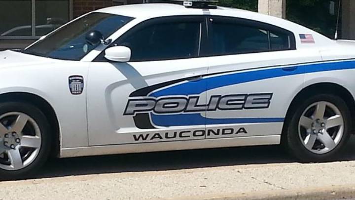 Man killed after car falls off lift at Wauconda auto shop