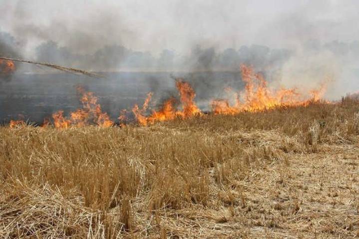 Stubble-burning has begun in Punjab, Haryana, worsening Delhi