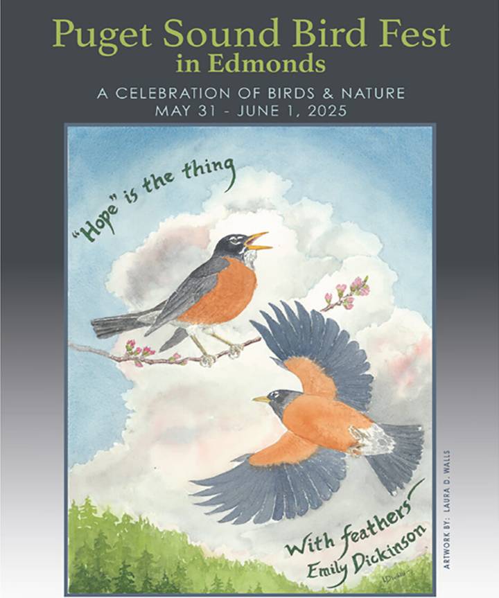 Local artists invited to enter Puget Sound Bird Fest poster art contest