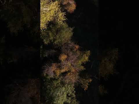 Above California | A look over Granite Bay, California