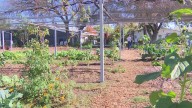 Bonton Farms nonprofit seeing greater need amid government shutdown