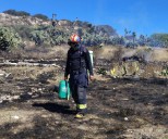 Incendio afecta 5 hectáreas de pastizales en Mineral de la Reforma