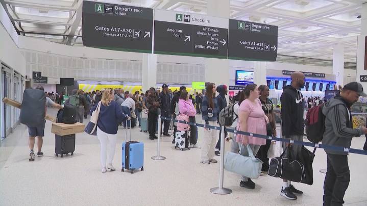 Flight cuts, refunds, and rights: What travelers need to know