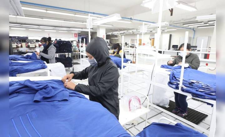 Del lucro al propósito: el nuevo sentido del desarrollo, por Alfonso López Chau Nava