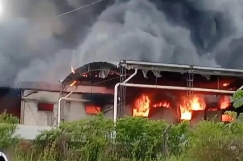 Impactante incendio en un frigorífico de Posadas: tres explosiones y una bombera asistida