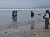 Termina la búsqueda del adolescente sanjuanino desaparecido en La Serena: la emotiva ceremonia de la familia junto a la playa