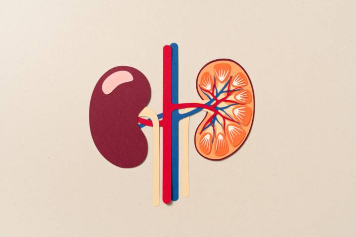 ProKidney’s Autologous Cell Therapy for CKD and Diabetes Advances to Phase III