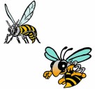 White River volleyball heads into league championship with undefeated record