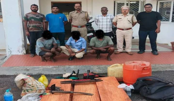 Forest Officials Seize Illegally Felled Timber and Tools in South Andaman