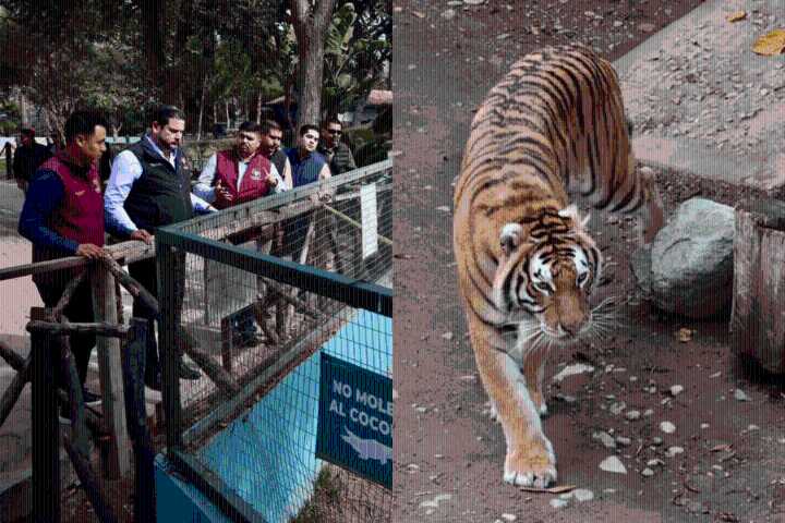 Burgueño visita el Parque Morelos y aplaude al equipo que lo mantiene limpio, seguro y bajo sus condiciones