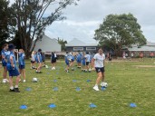 Davis back in class and Jets' ALW line