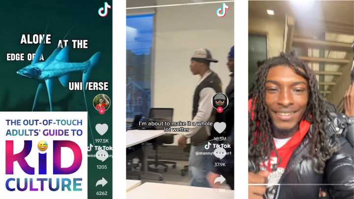 The Out-of-Touch Adults' Guide to Kid Culture: The 'Flip the Camera' Trend