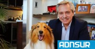 22:48 Duro golpe para Alberto Fernández: murió su perro Dylan