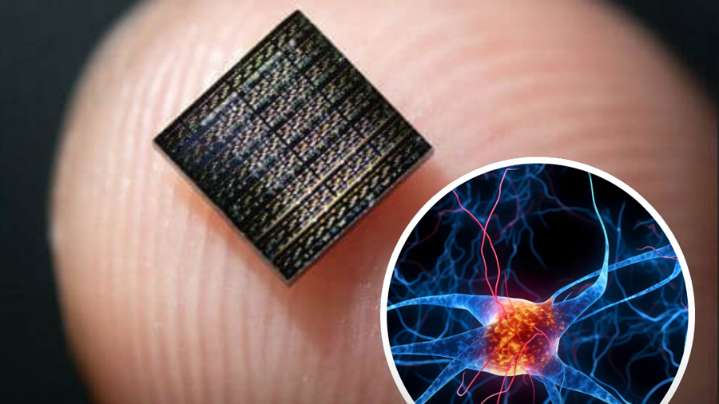 Científicos crean neurona artificial que imita las células del cerebro con materiales electrónicos