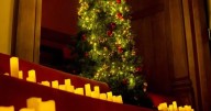 Christmas candlelight concert is bringing festive cheer to Gloucester