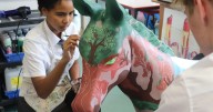 Painted donkeys turn heads as Sidmouth students get creative with art