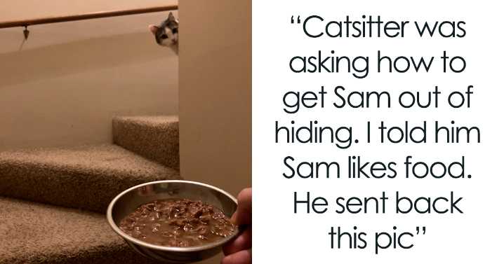 If You Can’t Think Of A Better Way To Spend Your Day Than Looking At Cat Memes, These 49 Pics Are For You