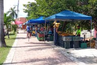Tianguis reúne a más de 100 productores en el Parque Insurgentes de Chetumal
