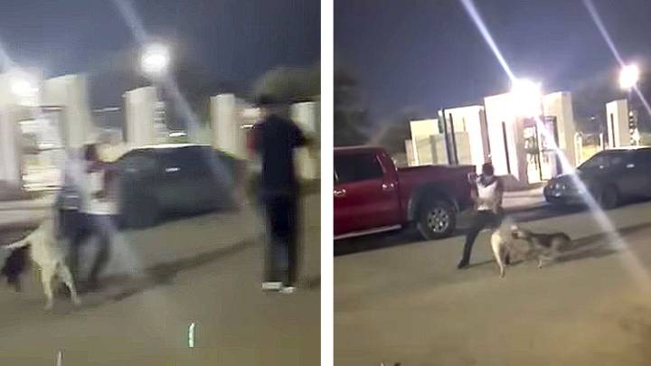 Ataque de perro de pelea desata indignación de vecinos de la colonia 1º de Mayo