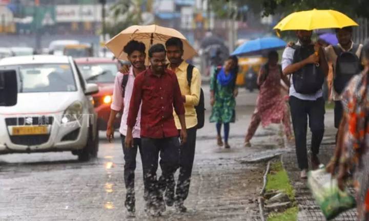 Overnight rains bring breezy morning to Chennai; More rain predicted