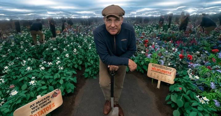 Vinnie Jones' plans for a country shooting retreat scuppered by barn owl experts
