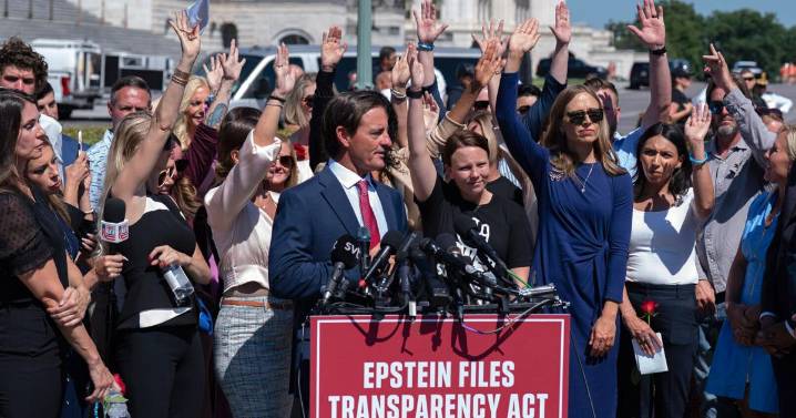 What's next in Congress on the push to release the Epstein files