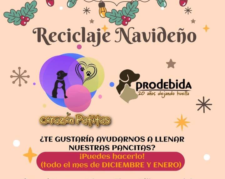 Realizarán asociaciones rescatistas colecta de material reciclable a beneficio de albergues caninos