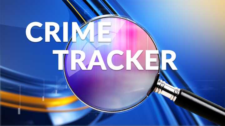 Bottineau man charged with sex crimes