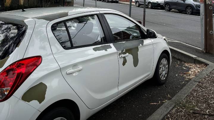 Peeling paint has Hyundai owners demanding answers