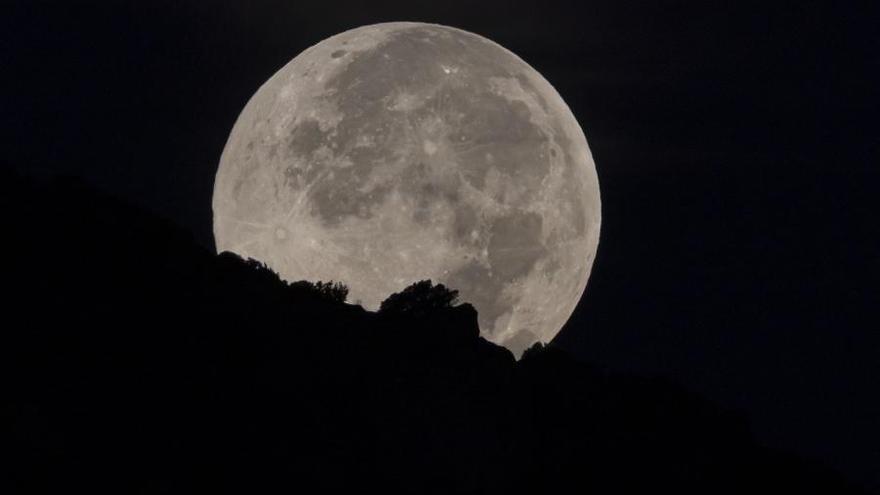 ¿Qué día es luna llena en noviembre? Cuándo, dónde y cómo ver la superluna del castor