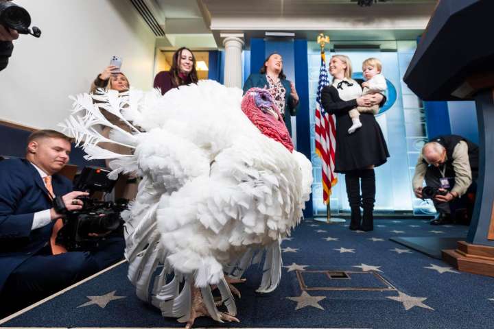 Trump indulta a dos pavos por Acción de Gracias y anula los perdones otorgados por Biden