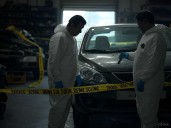 Tragedia en Maracay: Septuagenario pierde la vida aplastado por un gato mecánico