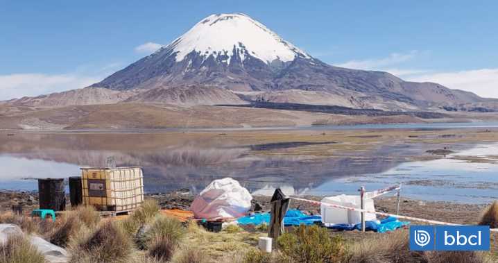 Retiran casi 6 mil litros de aceite de soya desde el Lago Chungará tras accidente de camión boliviano