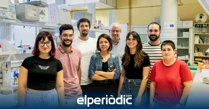 Científicos valencianos crean diminutos robots que usan el azúcar del cáncer para llevar la quimioterapia al interior del tumor